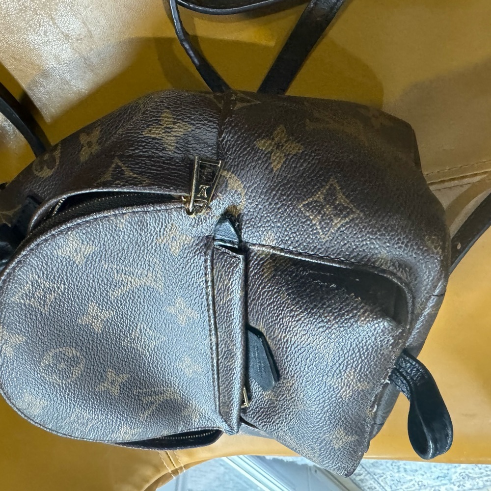 Louis Vuitton Monogrammed Palm Springs mini back pack - Picture 15 of 16